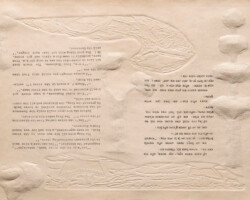 REVISITING THE HELPFUL KING AND THE TOOTHLESS SHARK REVISITING THE HELPFUL KING AND THE TOOTHLESS SHARK