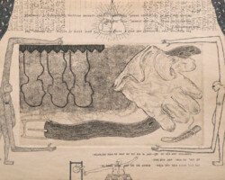 REVISITING THE HELPFUL KING AND THE TOOTHLESS SHARK REVISITING THE HELPFUL KING AND THE TOOTHLESS SHARK