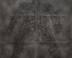 BARBED TOBA TEK SINGH Image Titled Barbed Toba Tek Singh