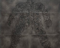 BARBED TOBA TEK SINGH Image Titled Barbed Toba Tek Singh